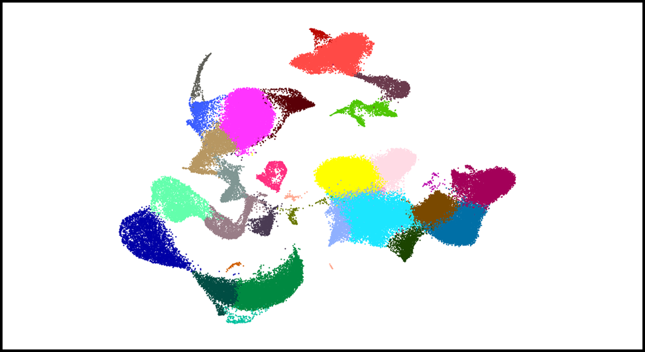 Single cell image v1